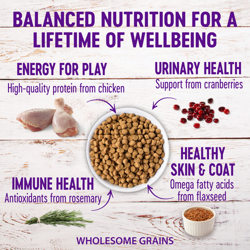 Wellness Complete Health Adult Health Deboned Chicken, Chicken Meal & Rice Recipe Dry Cat Food