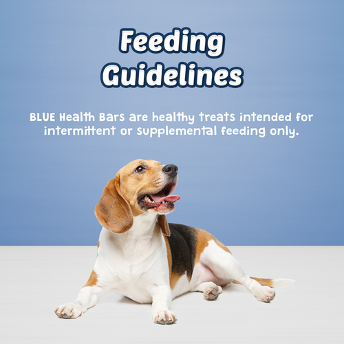 Blue Health Bars Baked With Pumpkin & Cinnamon Dog Treats