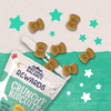 Natural Balance Rewards Crunchy Biscuits With Real Chicken Dog Treats