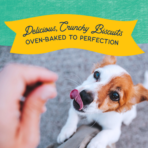 Natural Balance Rewards Crunchy Biscuits With Real Chicken Dog Treats