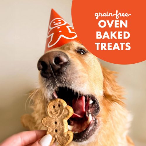 Buddy Biscuits Crunchy Grain Free Peanut Butter Dog Treats