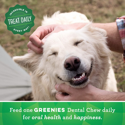 Greenies Regular Grain Free Dental Dog Chews