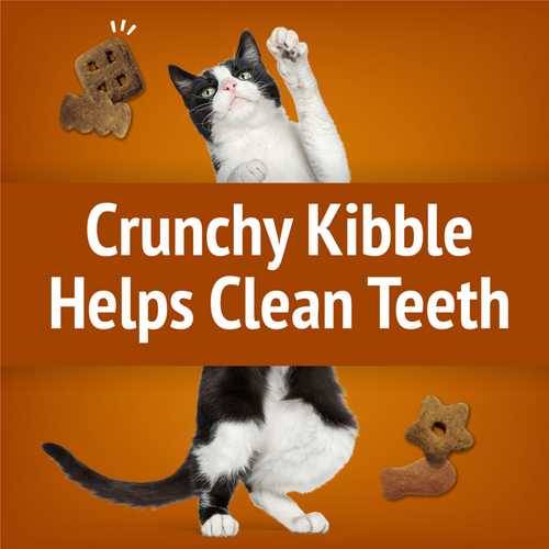 Friskies Party Mix Chicken Lovers Crunch Cat Treats