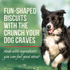 Merrick Oven Baked Pumpkin Patch Dog Treats