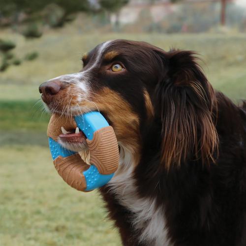 KONG CoreStrength Bamboo Bone Dog Toy