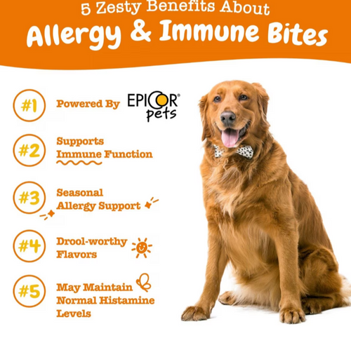 Zesty Paws Aller-Immune Bites for Seasonal Allergies Lamb Flavor Immune Function   Sensitive Skin & Gut Health for Dogs