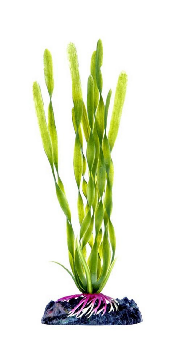 Penn-Plax Aquarium Decor Corkscrew Vallisneria Green