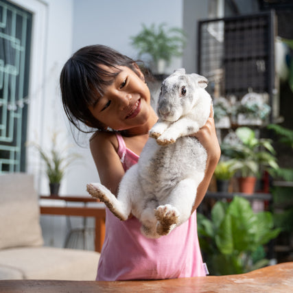 Small Animal Food & SuppliesChild holding rabbit
