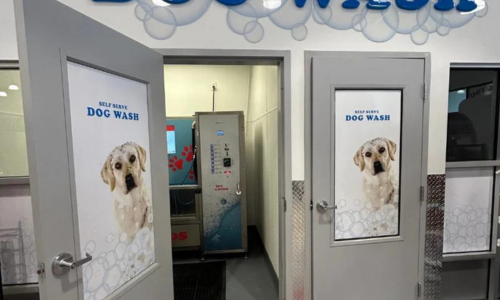 Dog wash stations