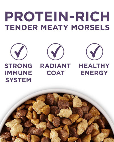 Purina ONE Plus Vibrant Maturity Adult 7+ Formula Dry Dog Food