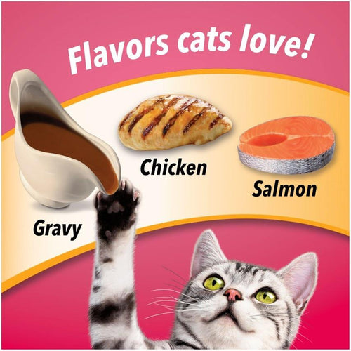 Friskies Gravy Swirlers Chicken & Salmon Flavor Dry Cat Food