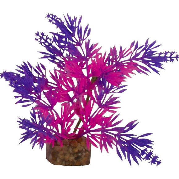 GLOFISH CYCLE LIGHT PLANT