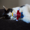 Mr. Bill® Cat Boy