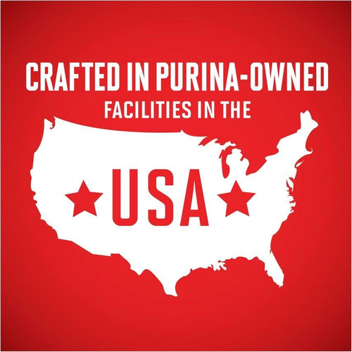 Purina ONE Tender Cuts Wholesome Beef & Barley Canned Dog Food