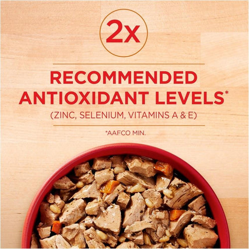 Purina ONE Tender Cuts Wholesome Chicken Canned Dog Food