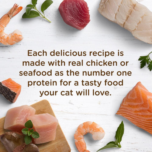 Rachael Ray Nutrish Natural Grain Free Tuna Purrfection Recipe Wet Cat Food