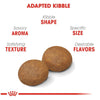Royal Canin Size Health Nutrition Large Breed Adult 5+ Dry Dog Food