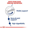 Royal Canin Size Health Nutrition Large Breed Adult 5+ Dry Dog Food