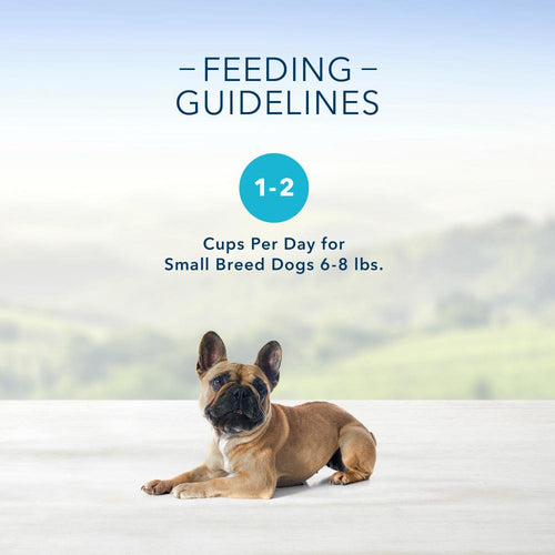 Blue Buffalo Blue Delights Small Breed Top Sirloin Pate Dog Food Cup