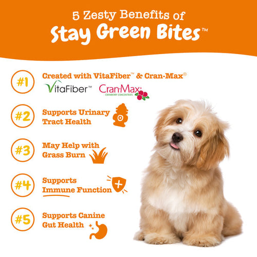 Zesty Paws Stay Green Bites™ for Dogs