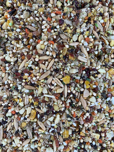 Goldenfeast Patagonian Blend for Lovebird & Cockatiel