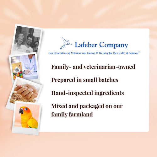 Lafeber Company Conure Tropical Fruit Gourmet Pellets