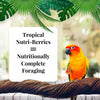 Lafeber Company Tropical Fruit Nutri-Berries for Conures