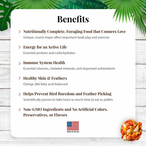 Lafeber Company Tropical Fruit Nutri-Berries for Conures