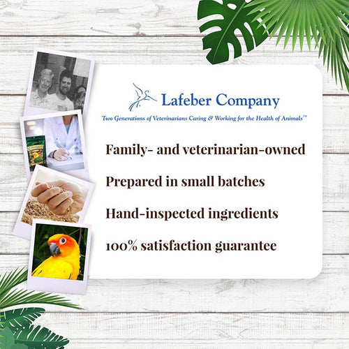 Lafeber Company Tropical Fruit Nutri-Berries for Conures