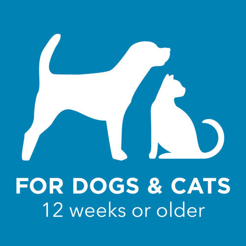 TropiClean TropiClean OxyMed Restore Paw Pad Lotion for Pets