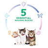 Hill's Science Diet Kitten Chicken Recipe Dry Food