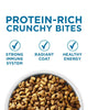 Purina ONE +Plus Indoor Advantage Senior 7+ Dry Cat Food