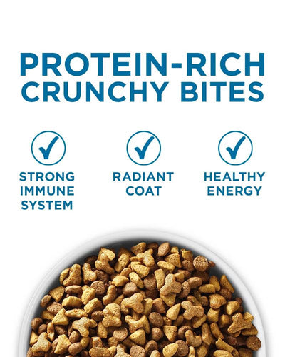 Purina ONE +Plus Indoor Advantage Senior 7+ Dry Cat Food