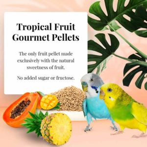 Lafeber Parakeet Tropical Fruit Gourmet Pellets