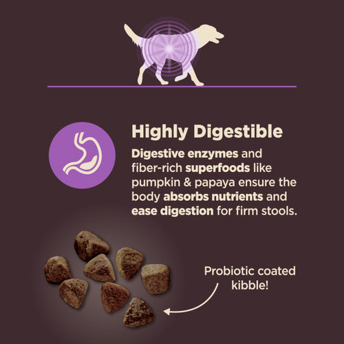 Wellness CORE Digestive Health Age Advantage Chicken & Brown Rice Dog Food
