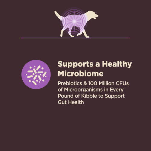 Wellness CORE Digestive Health Age Advantage Chicken & Brown Rice Dog Food