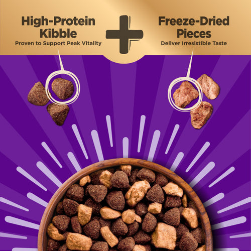 Wellness CORE+ Wholesome Grains Beef & Barley Dog Food