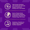 Wellness CORE+ Wholesome Grains Beef & Barley Dog Food