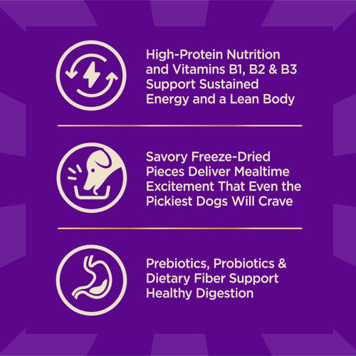 Wellness CORE+ Wholesome Grains Beef & Barley Dog Food