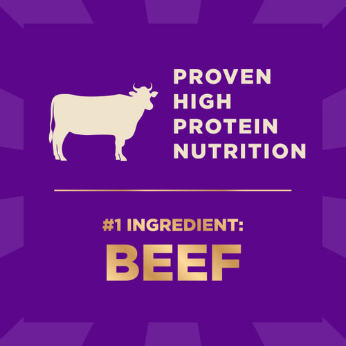 Wellness CORE+ Wholesome Grains Beef & Barley Dog Food
