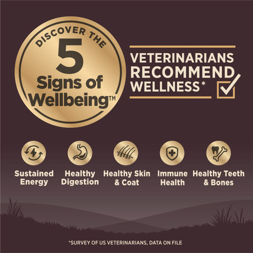 Wellness CORE Grain Free Natural Wild Game Duck, Turkey, Wild Boar and Rabbit Recipe Dry Dog Food