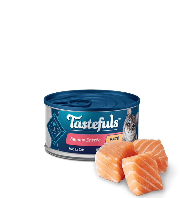 Blue Buffalo Tasteful Salmon Entree Pate Wet Cat Food