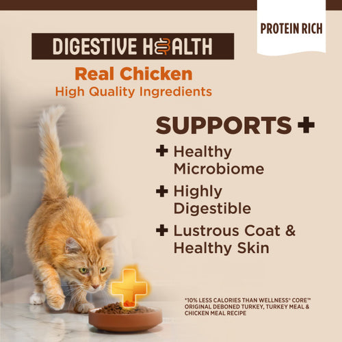 Wellness CORE+ Digestive Health Chicken & Rice Dry Cat Food