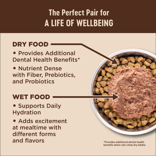Wellness CORE® Digestive Health with Wholesome Grains Salmon & Rice Dry Cat Food