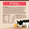 Wellness CORE® Digestive Health with Wholesome Grains Salmon & Rice Dry Cat Food