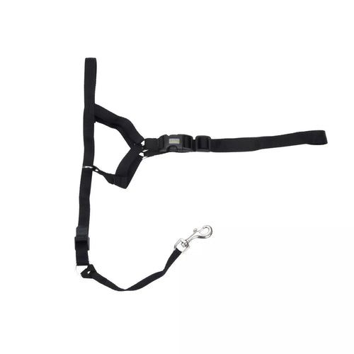 Coastal Pet Walk 'n Train! Dog Head Halter