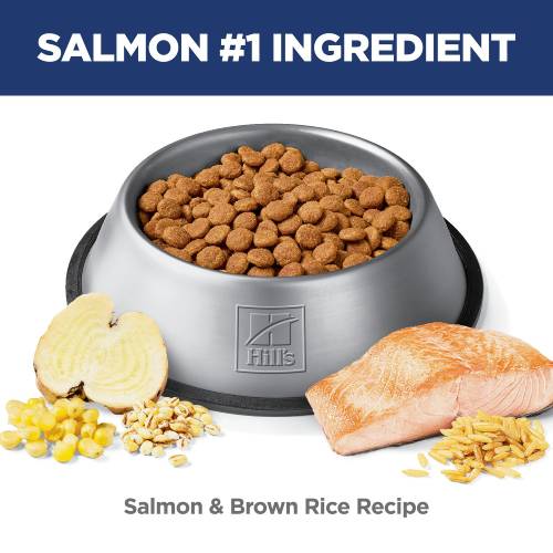 Hill's Science Diet Adult Perfect Digestion Dog Food, Salmon, Whole Oats & Brown Rice Recipe Dry Dog Food