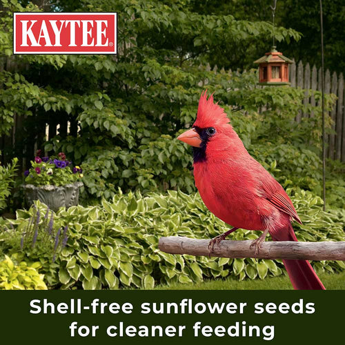 Kaytee No Mess Blend Wild Bird Food