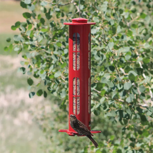 Squirrel-X X8 Squirrel-Resistant Bird Feeder with Spring-Loaded Perches - 2.5 lb