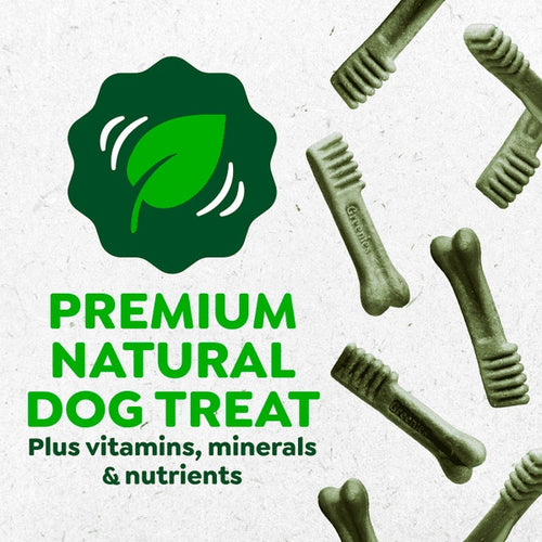 Greenies Adult Dental Dog Treats Regular Size Original
